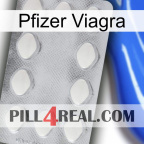 Pfizer Viagra 16
